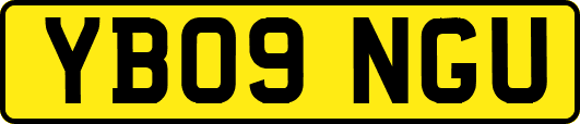 YB09NGU