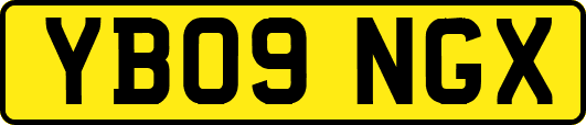 YB09NGX