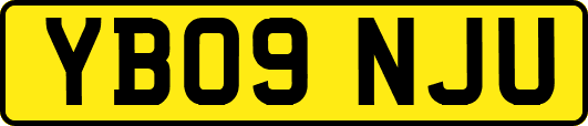 YB09NJU