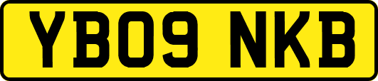 YB09NKB