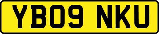 YB09NKU