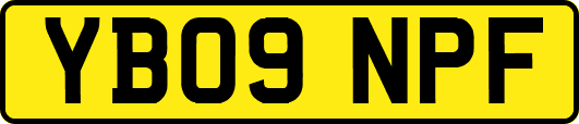 YB09NPF