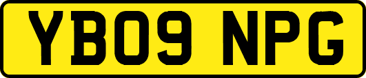 YB09NPG