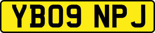 YB09NPJ