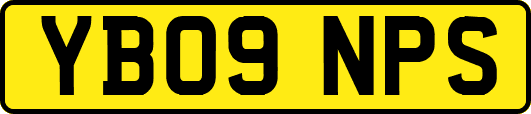 YB09NPS
