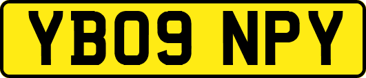 YB09NPY