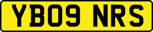 YB09NRS