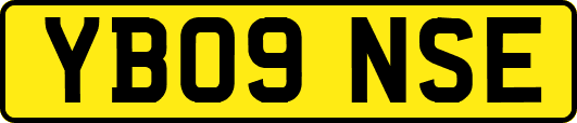 YB09NSE