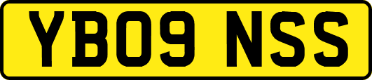 YB09NSS
