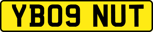 YB09NUT