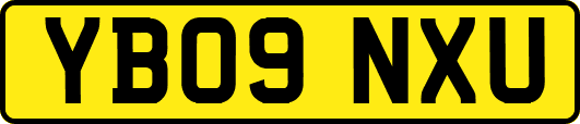 YB09NXU