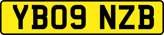 YB09NZB