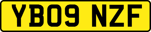 YB09NZF