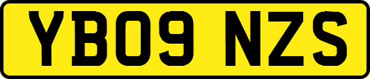 YB09NZS