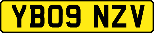 YB09NZV