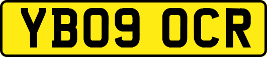 YB09OCR