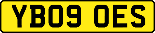YB09OES