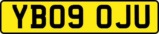 YB09OJU