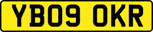 YB09OKR