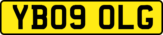 YB09OLG