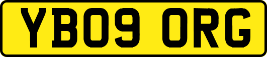 YB09ORG