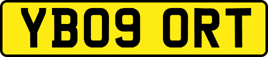 YB09ORT