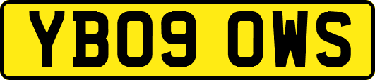 YB09OWS