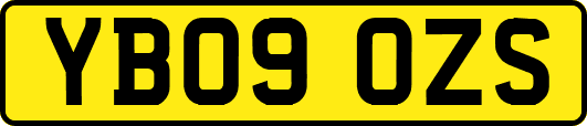 YB09OZS