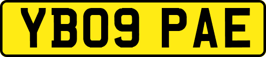 YB09PAE