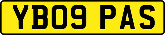 YB09PAS