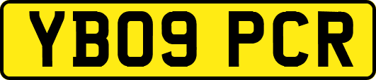 YB09PCR