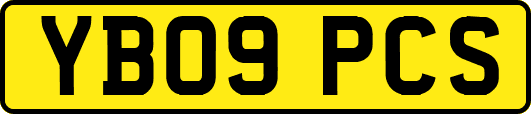YB09PCS
