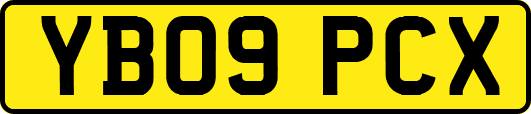 YB09PCX