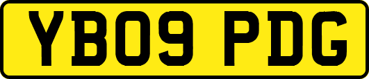 YB09PDG