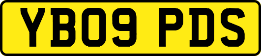 YB09PDS