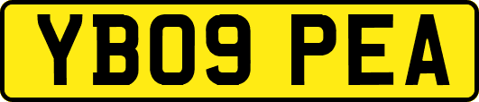 YB09PEA