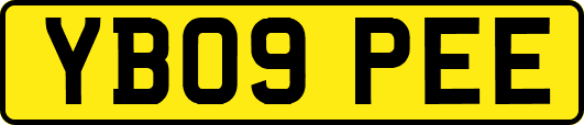YB09PEE