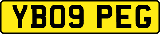 YB09PEG