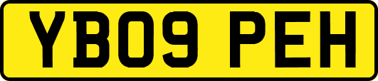 YB09PEH