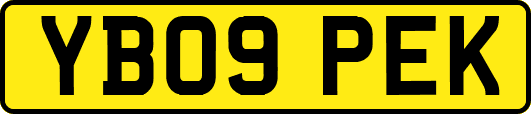 YB09PEK