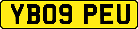 YB09PEU