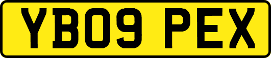 YB09PEX