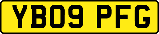 YB09PFG
