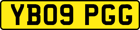 YB09PGG