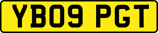 YB09PGT