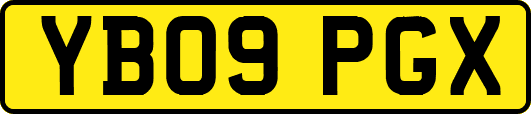 YB09PGX