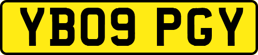 YB09PGY