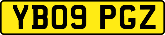 YB09PGZ