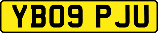 YB09PJU