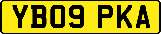 YB09PKA